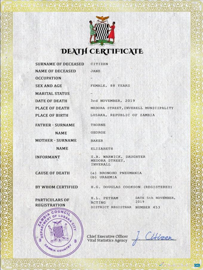 Download Zambia vital record death certificate PSD template Photoshop template